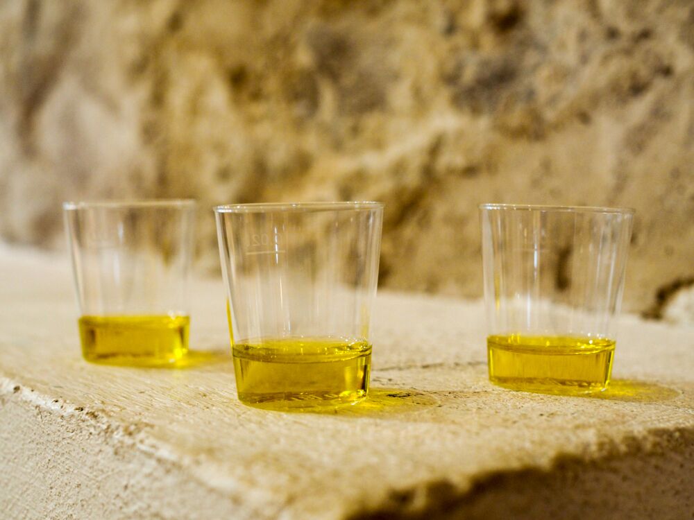 assaggiare l'olio extravergine d'oliva a casa