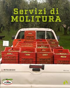 servizi molitura